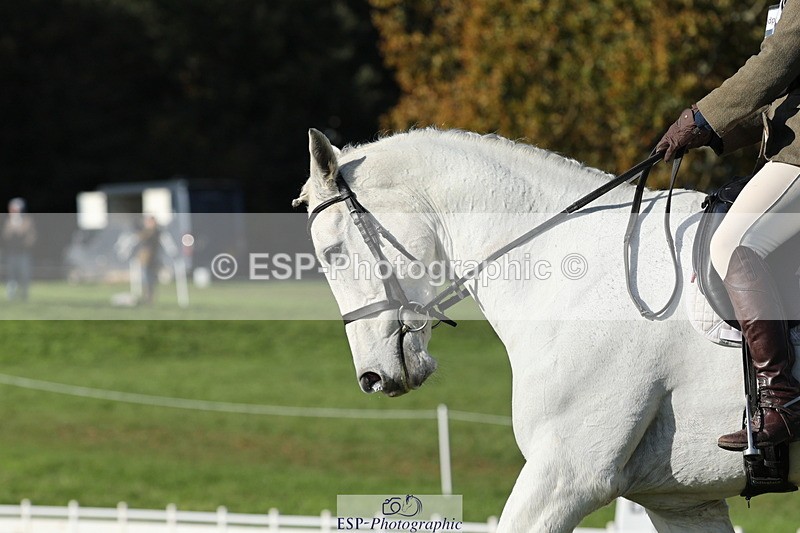 251024A-143708-14243 - G-572-Laura.Pitman With Trot Up