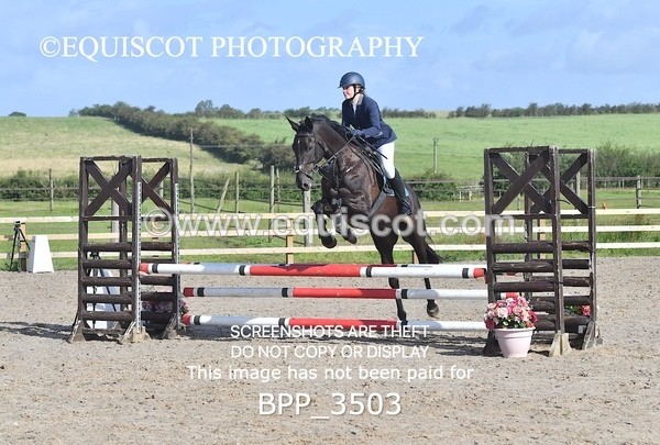 BPP_3503 - CLASS 2 Club/ Unaffiliated 80cms Open