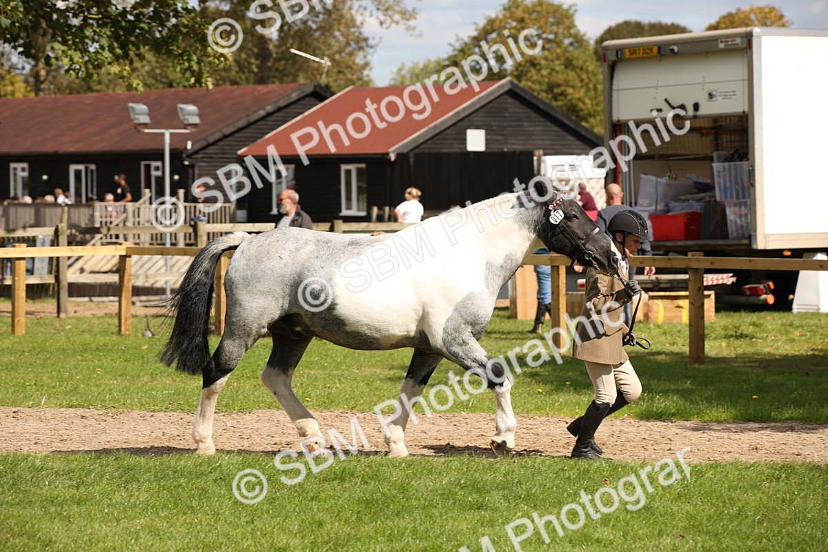 SBM_44406 - S24 - Young Veteran in hand