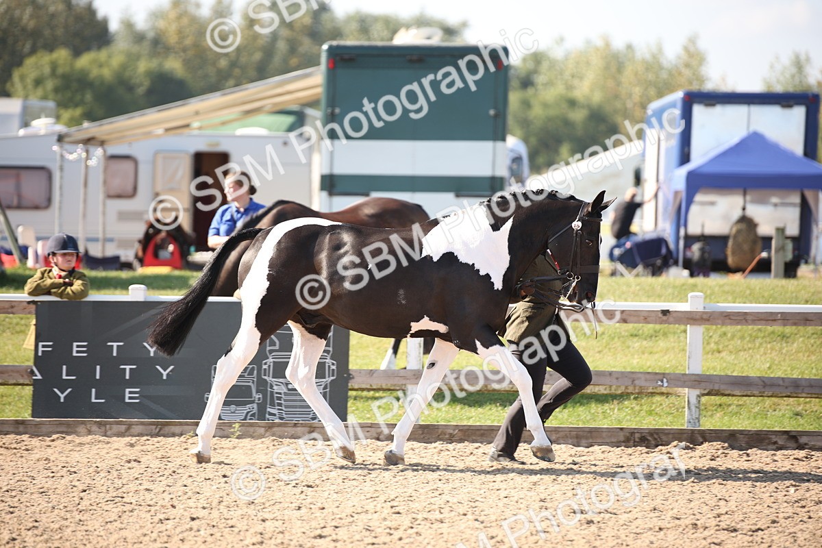 SBM_01461 - Class 15 IH Coloured