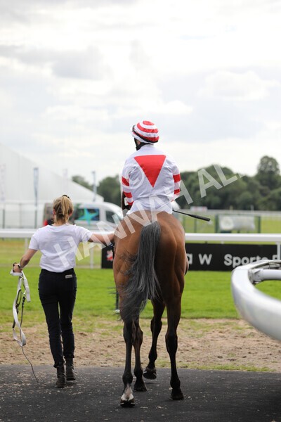 yr11062022r8-16 - Race 8 5.25pm Clean up with PPS Stakes
