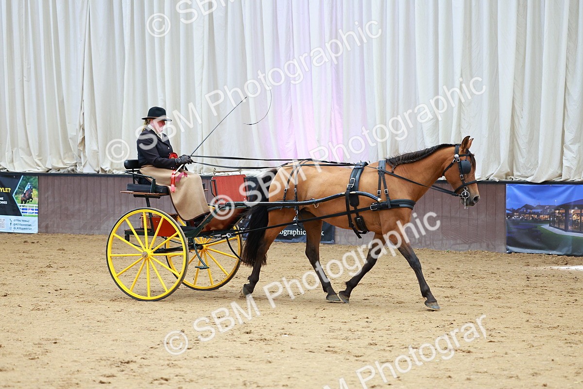 SBM_001070 - Class 15 - Open Showmans Class