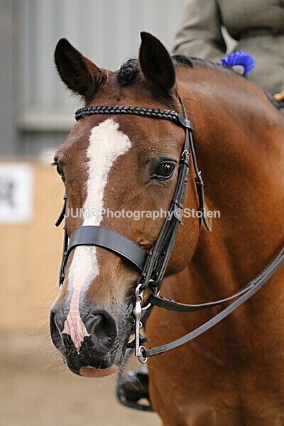 SIAL2768 - Sunday 14th Ridden