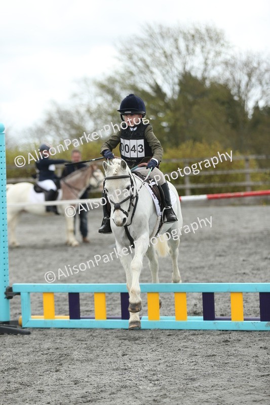 20260412-0662 - Show Jumping
