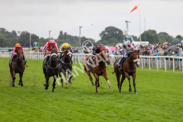 130724-Race 5-East Tyrone-2116 - Race 5 4.15pm John Smith's Nursery Handicap
