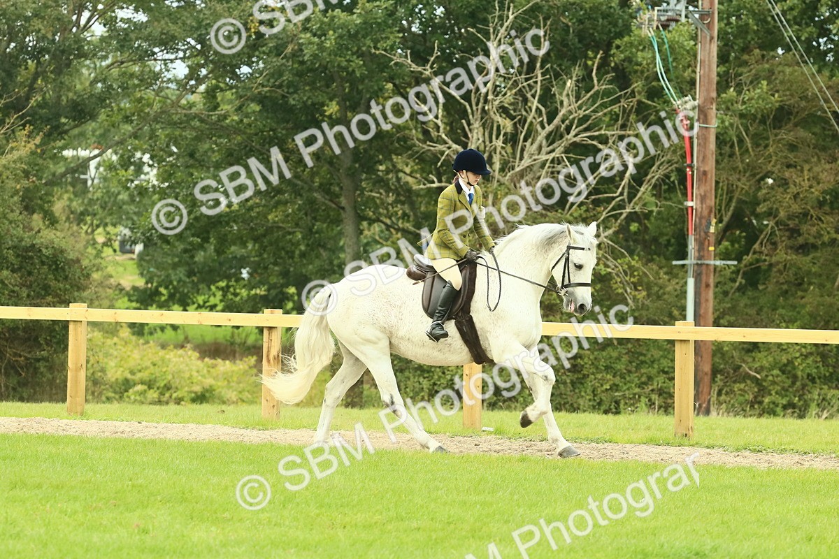 SBM_71894 - S60 - Mountain & Moorland Ridden Large Breeds