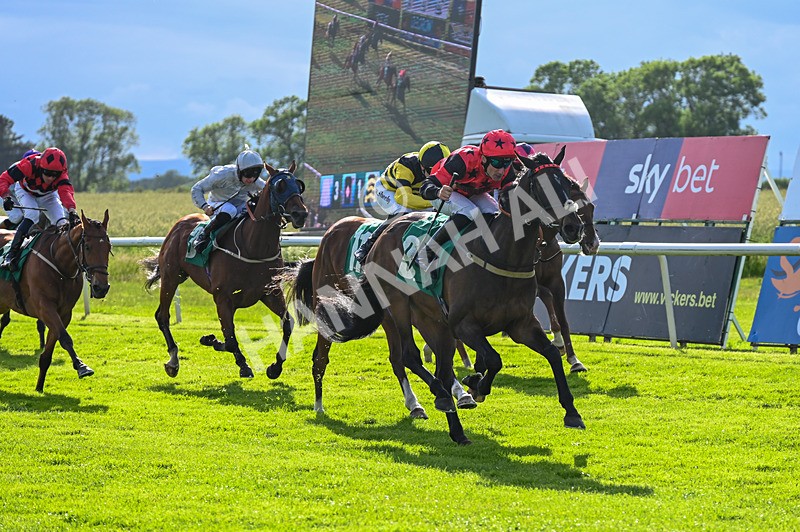 310526-Race 6-Mountain Road-9285 - Race 6 18.15pm Sky Bet For The Fans Handicap