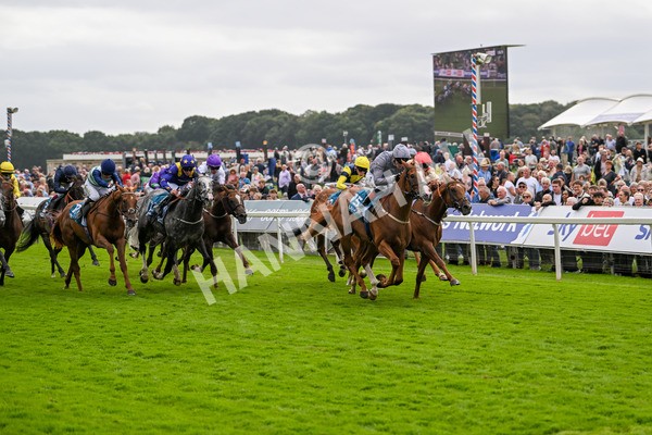 220824-Race 3-Thunder Run-7033 - Race 3 3.00pm Clipper Handicap