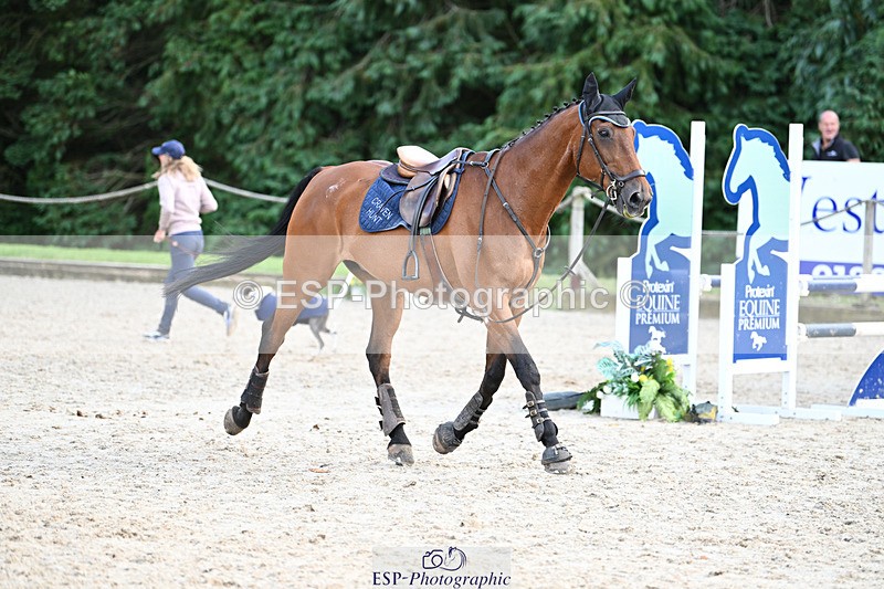 240824X-165933-30506 - 80cm Jump Off