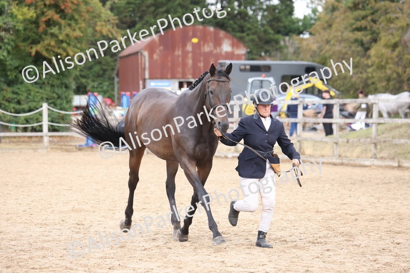 20260831-1941 - Class 5 - Retraining of Racehorses