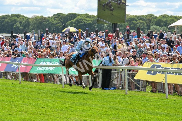 140625-Race 2-My Dream World-2304 - Race 2 2.25pm Queen Mother's Cup Handicap