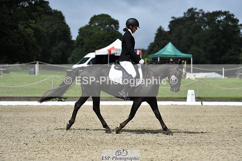 230812-121432-04070 - Cls 6 Novice Silver 12.10 to End