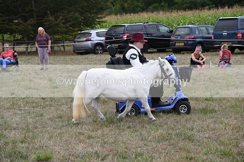 WJ6_6034 - Class 19 In-hand Veterans (Uploaded correct folder)