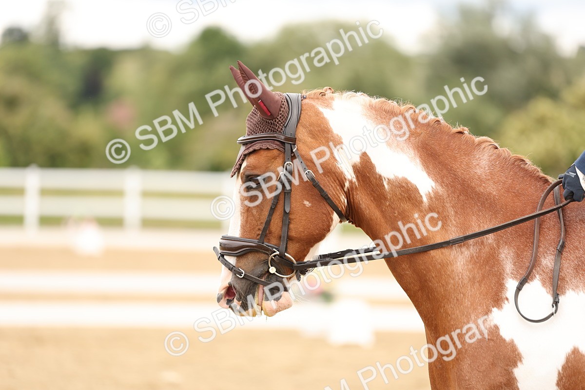 SBM_002547 - Class 6a - Novice 5 - 11.53-14.27