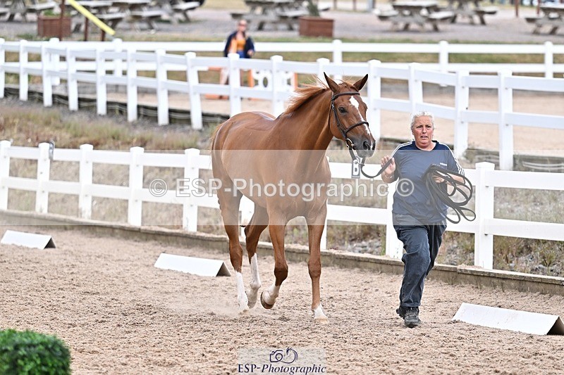 250716-164752-00769 - Trot Up 4.30 to 5.00