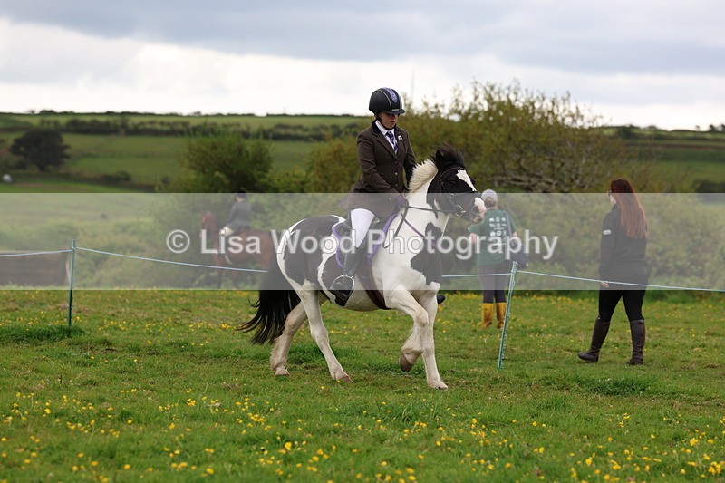 3E7A1524 - Class 8: Ridden Veteran Junoir and Senior