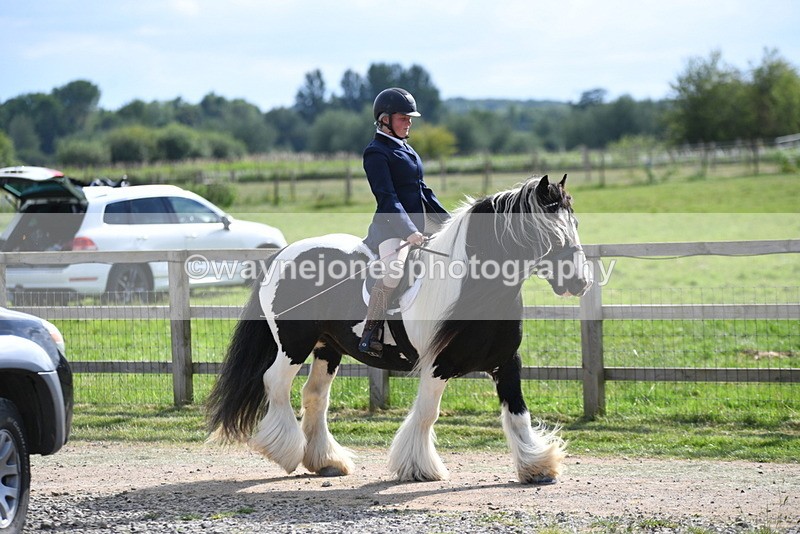 WJ5_7928 - Time 16:56 to 17:14