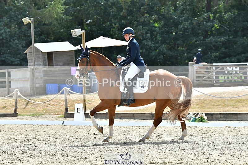 260802A-151753-07346 - Intermediate Bronze