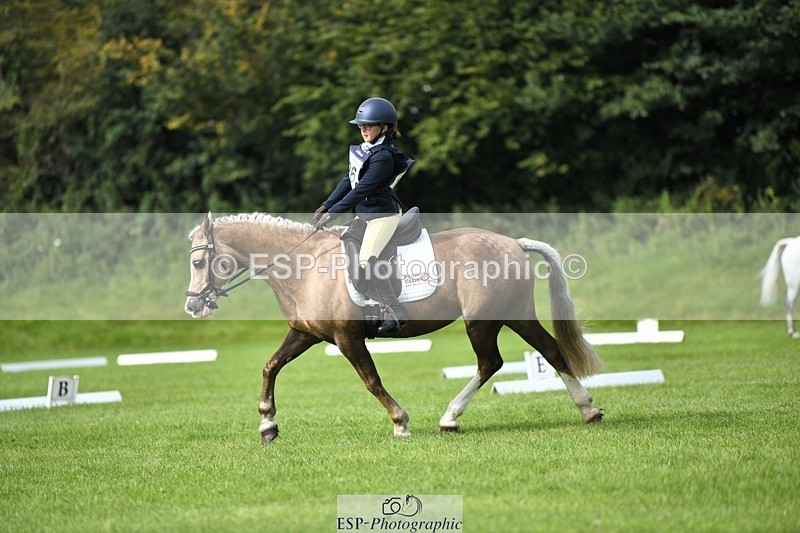 230826-102536-15470 - Sections C & D 10 to End