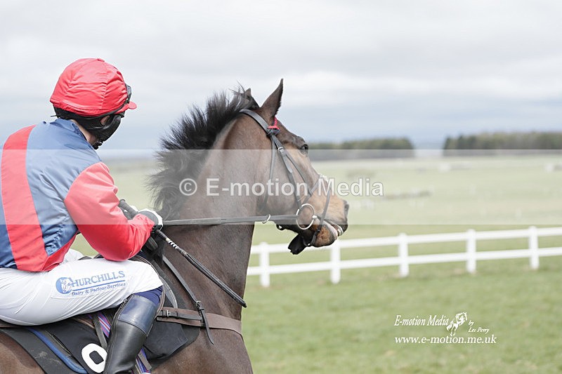 PtP 260323 0374 - New Forest Hounds Point-to-Point Larkhill 26/03/23