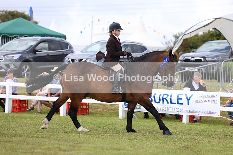 3E7A0529 - Rising Star Ridden Championship