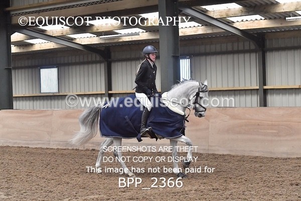 BPP_2366 - CLASS 14 Pony Foxhunter/ 1.10m Open