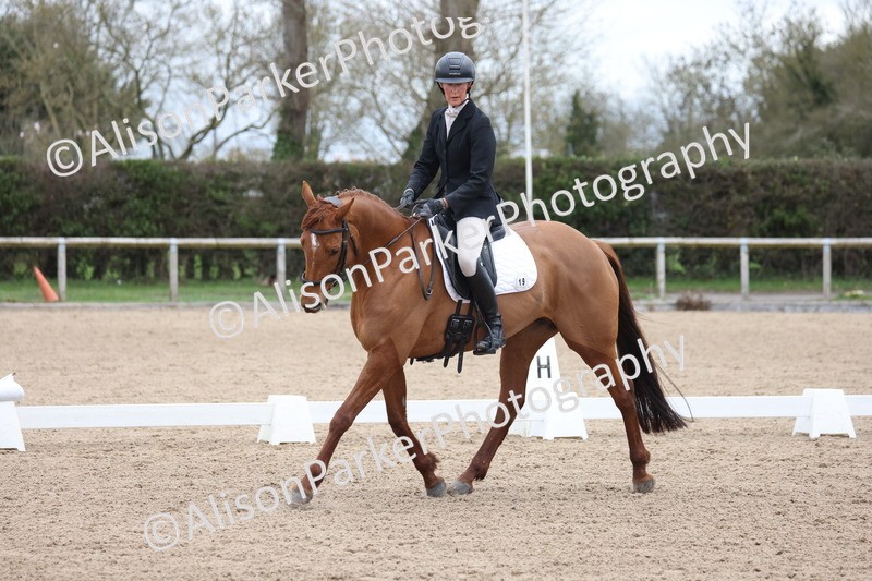 20260301-0302 - Class 3 - Novice 4