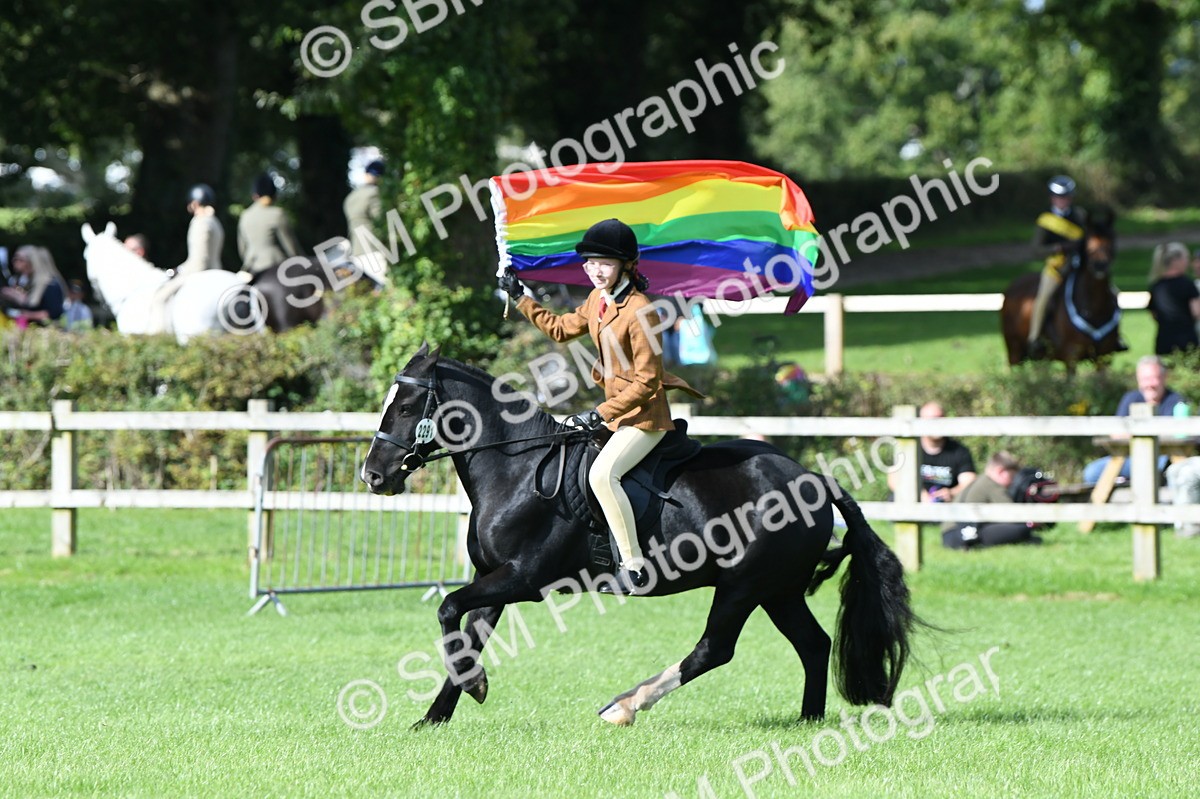 SBM_47051 - S12 - Family Horse & Pony