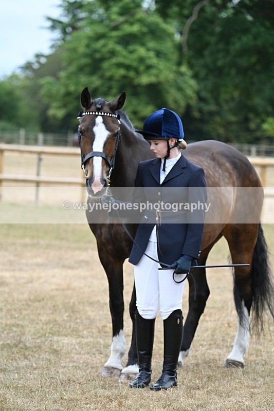 WJ7_0141 - Class 5a Most Handsome Gelding (above 14.2hh)