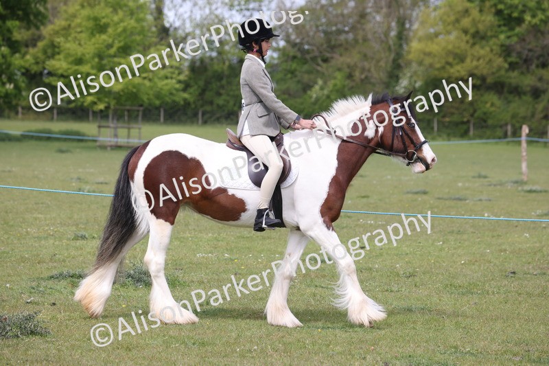 20260426-2894 - Class 33 - Best Pony 14.2hh and Under