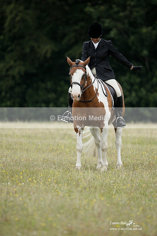 BVRC 030721 94 - Bourne Valley Riding Club Dressage 03/07/21