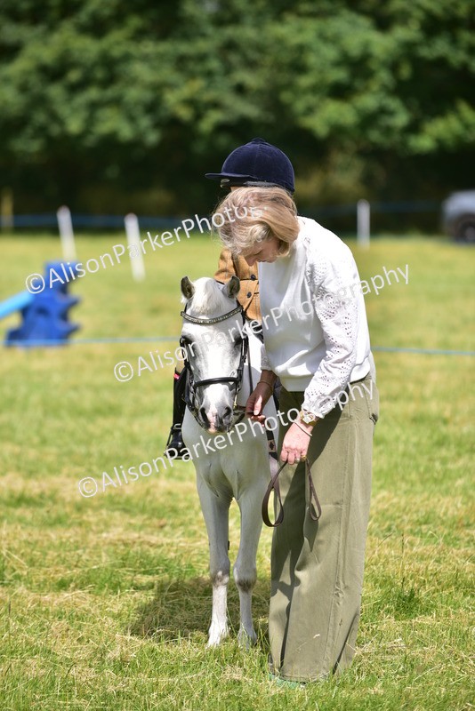 20260614-1204 - Class 11a - Lead Rein Pony (Unplaited)