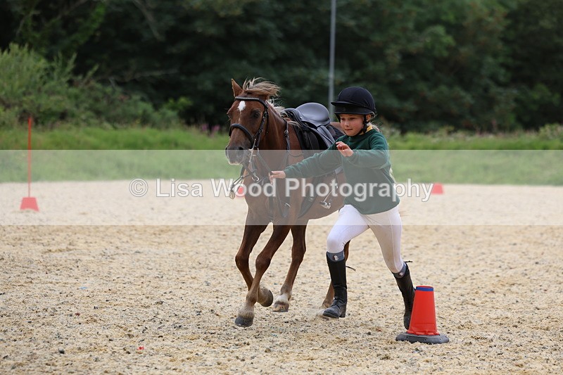 3E7A9610 - Walk trot run