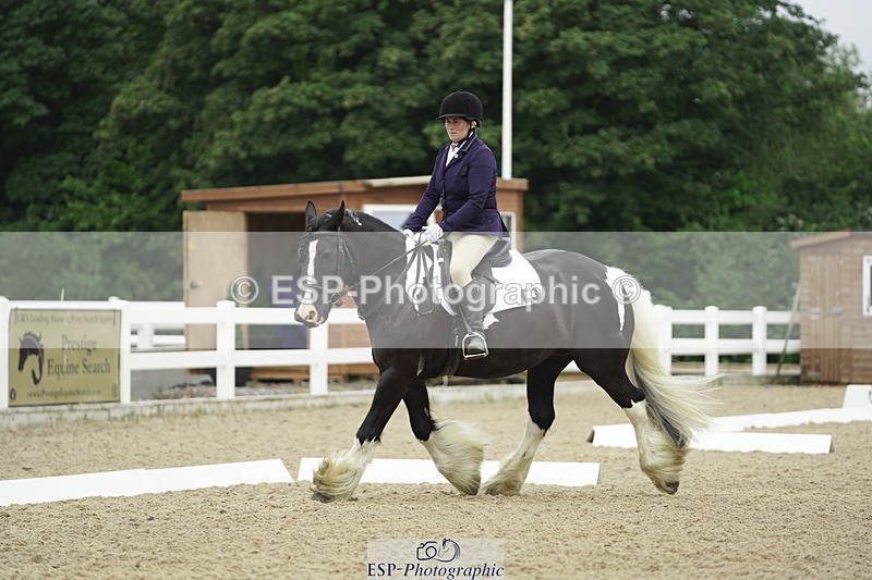 230708A-100342-00291 - Intro C