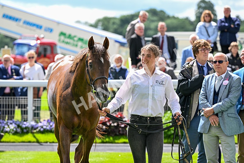 120626-Race 2-Everatease-7145 - Race 2 14.25pm Constant Security Keeping York Racegoers Safe Rous Selling Stakes