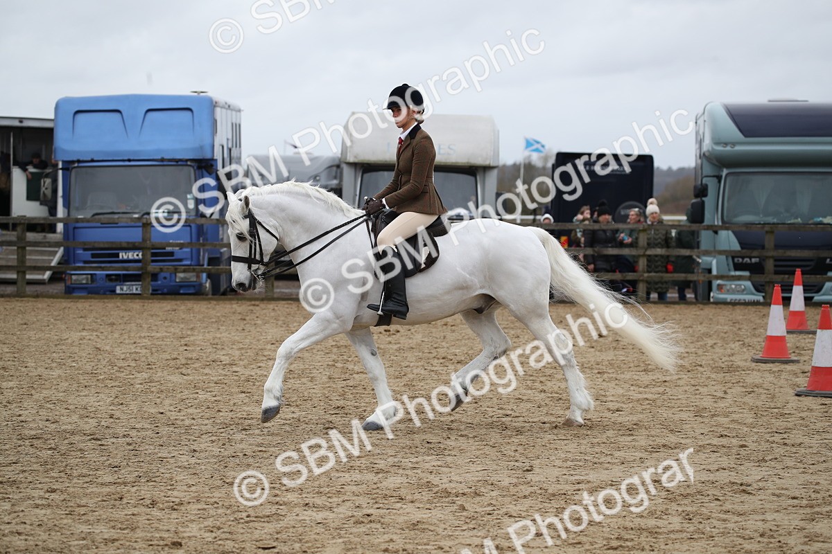 SBM_006371 - Class 10-13 - RIHS Small Large Breeds