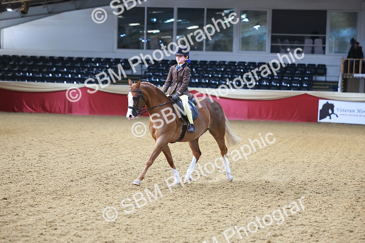 SBM_07701 - Class 101 - HOYS Veteran Qualifier - Ridden Diamond