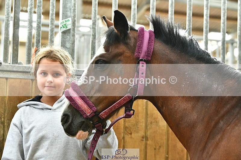 230804A-094952-02207 - Stable Shots