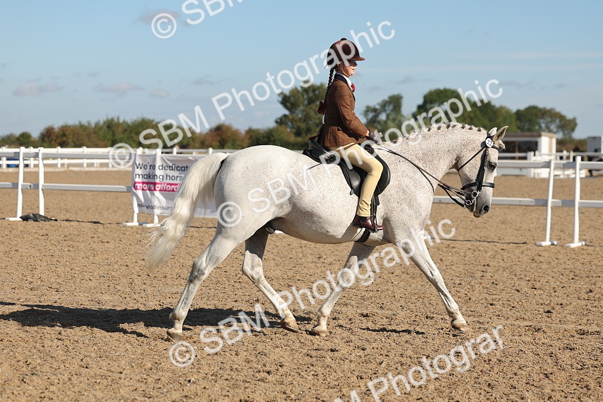 SBM_12278 - Class 304 - Ridden part Bred Horse Pony