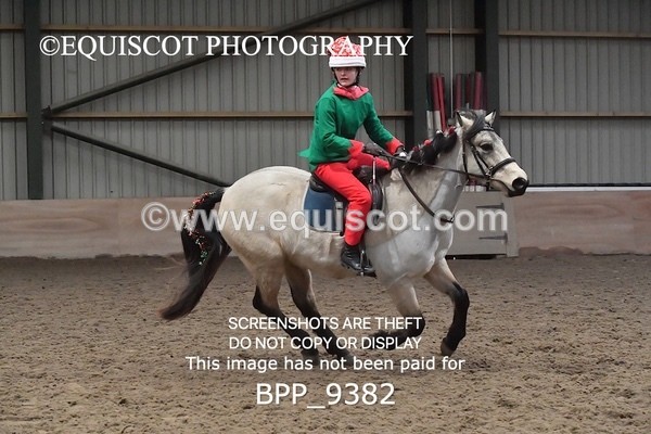 BPP_9382 - CLASS 5 60CM Progressive Show Jumping