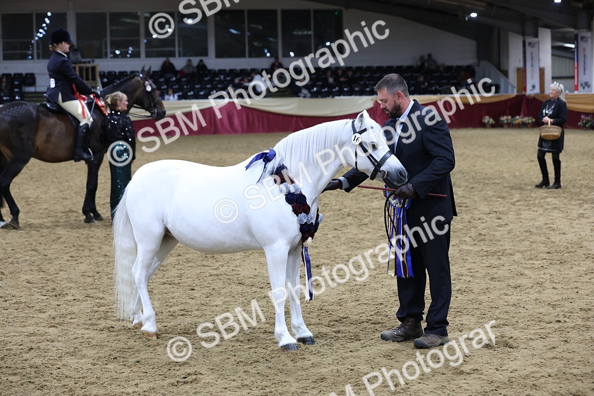 SBM_20388 - Class E - Best Turned Out Champ
