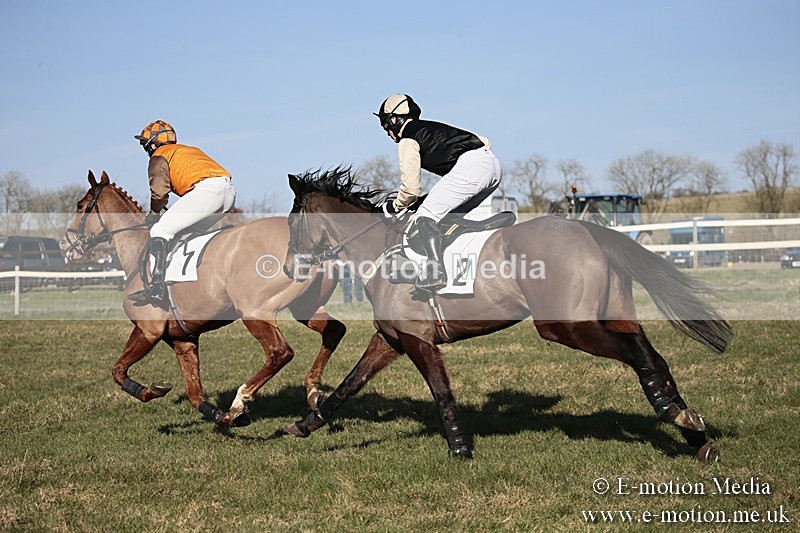 PtP 240218 501 - Vine & Craven Hunt Point-to-Point Barbury racecourse 24/02/18