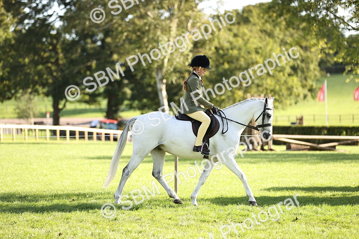 SBM_29325 - S7 - Novice & Newcomers Ridden Pony
