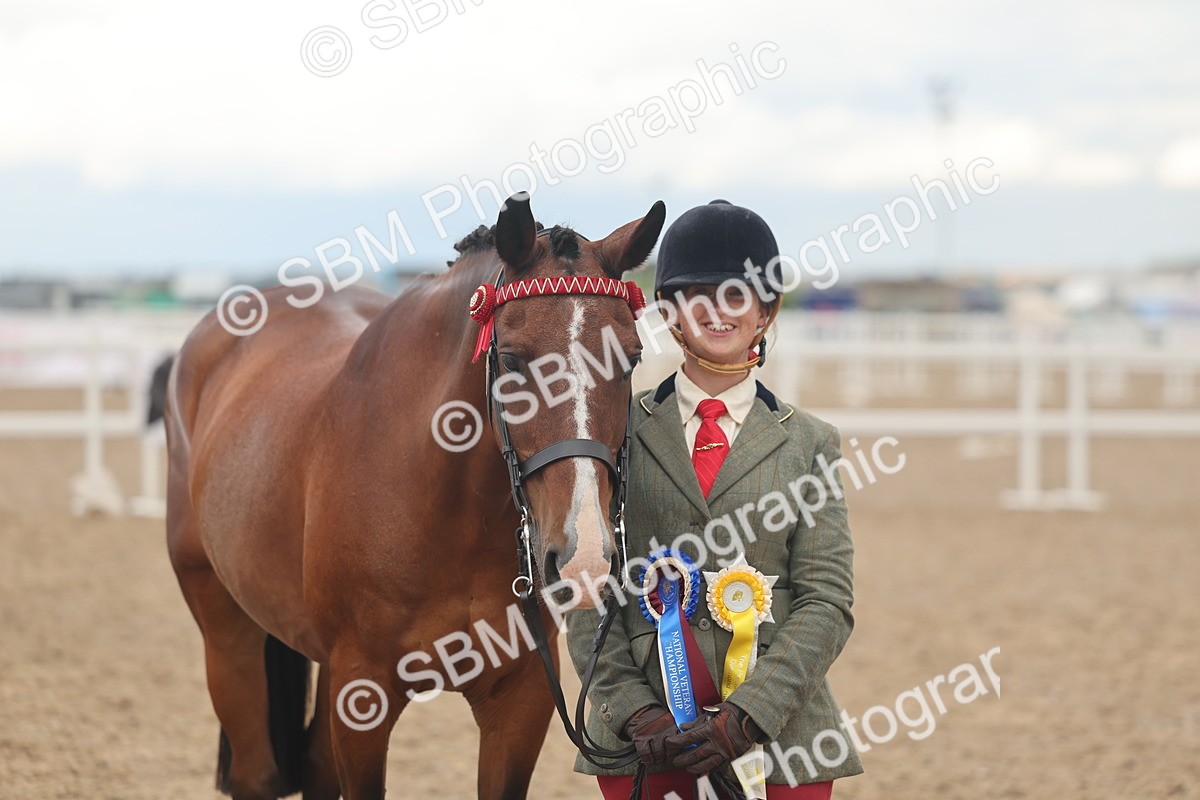SBM_07944 - Class 28 - IH Veteran Horse