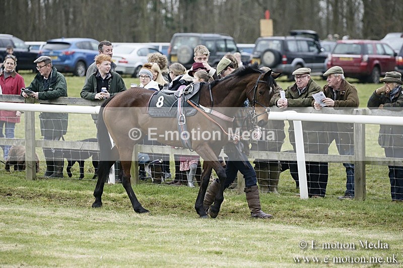 PtP 110318 15 - Hampshire Hunt Point-to-Point Hackwood Park 11/03/18