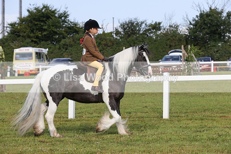 1X9A3185 - Class 28: Ridden Native/Trad Coloured Pony