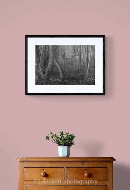  - Deep Dark Woods