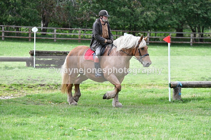 WJ5_9336 - Time 13:03 to 13:25