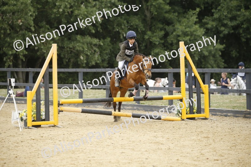 20250622-6246 - 60cm