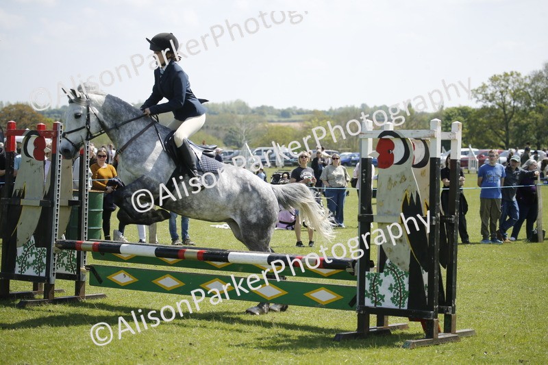 20250427-3469 - Class 14 - Absolute Novice 70cm